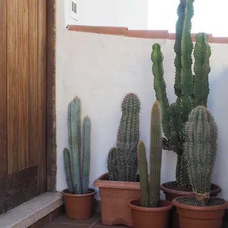 شقة Casa Alejandro Vistas *